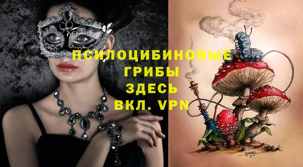 MDMA Premium VHQ Снежногорск